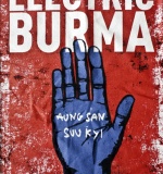 Electric Burma Concert on Irish TV